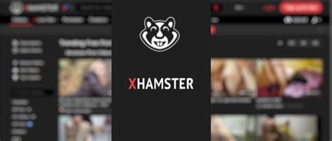 xhamster.net|High